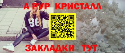 СК Рязань