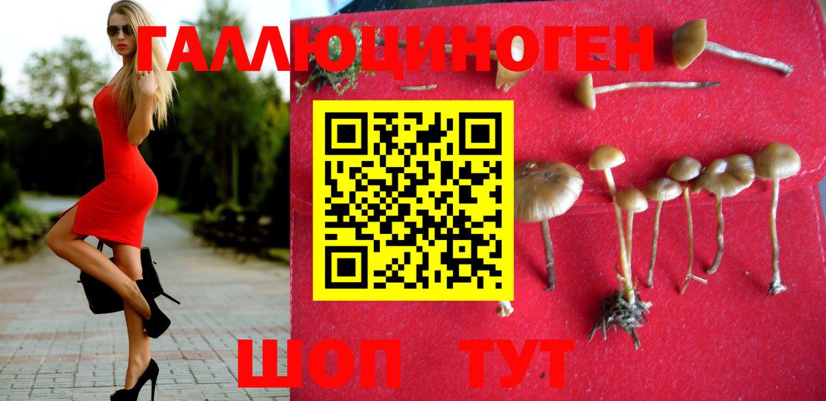 Галлюциногенные грибы Cubensis Саянск